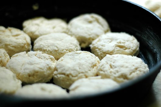Panned Biscuits